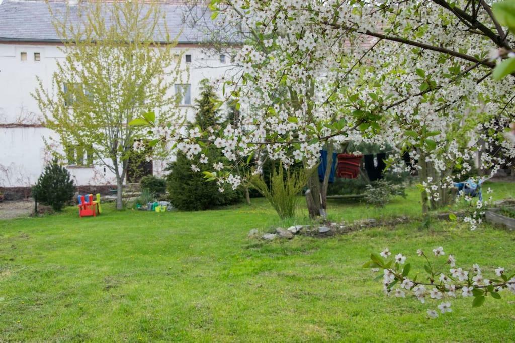 Gospodarstwo U Krakusa Doboszowice 外观 照片