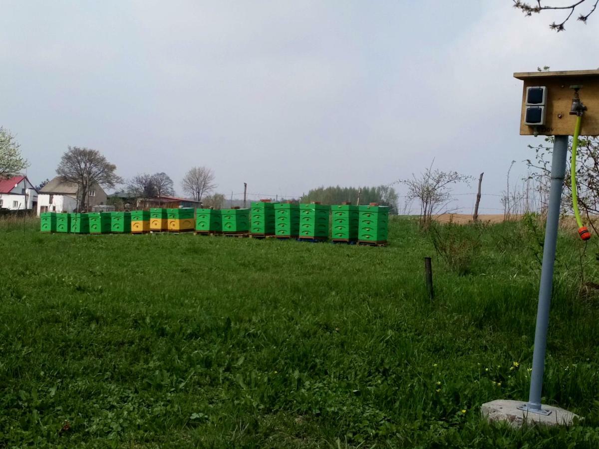 Gospodarstwo U Krakusa Doboszowice 外观 照片