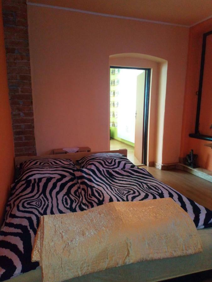 Gospodarstwo U Krakusa Doboszowice 外观 照片